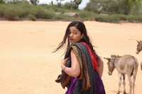 Poonam Bajwa Hot Pics